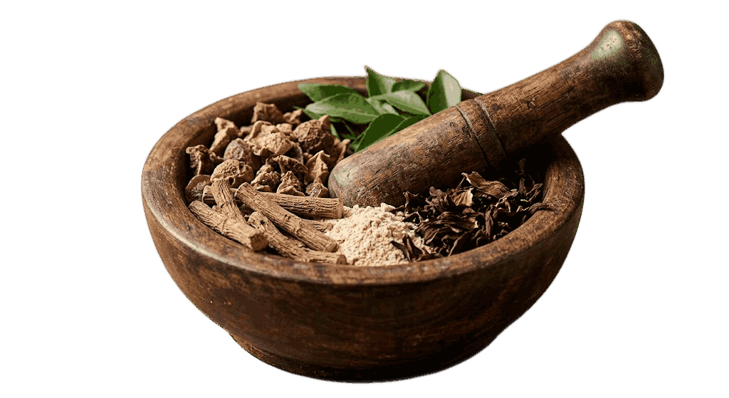 Ayurveda herbs